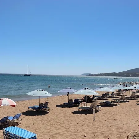 Anastassia Eg Lägenhet *