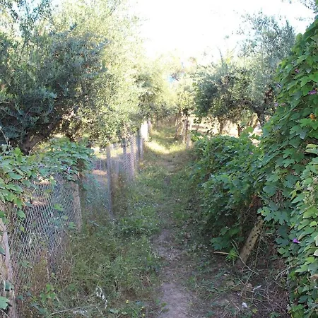 Anastassia Eg Appartement *