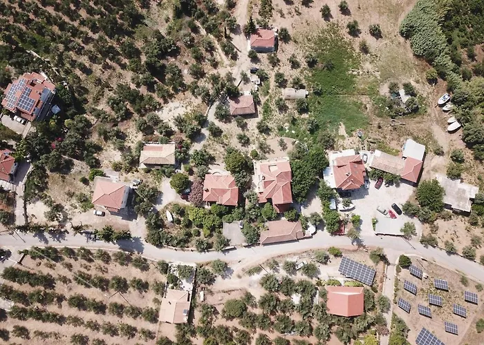 Anastassia Eg Koroni (Messinia)